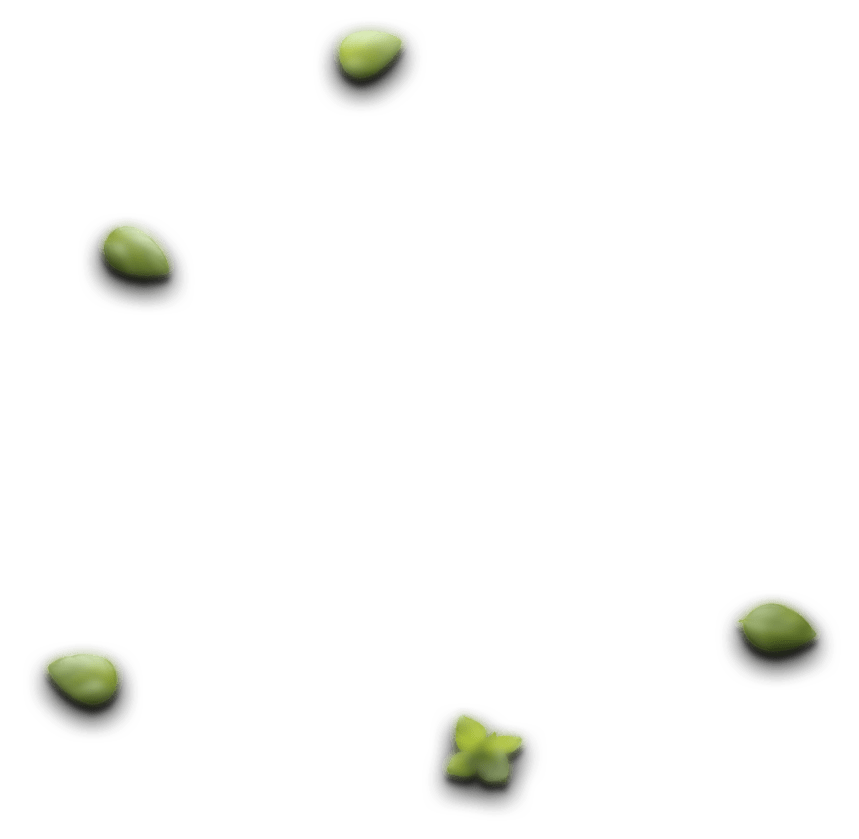 sushi-leaf-2.png